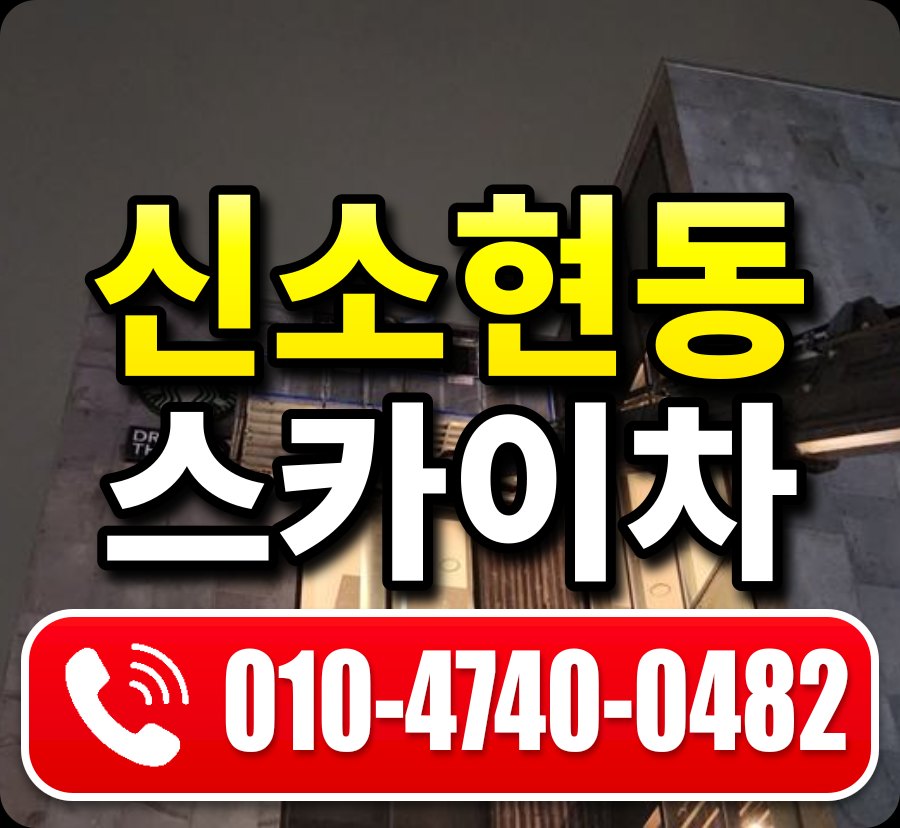 신소현동 스카이차 010-4740-0482