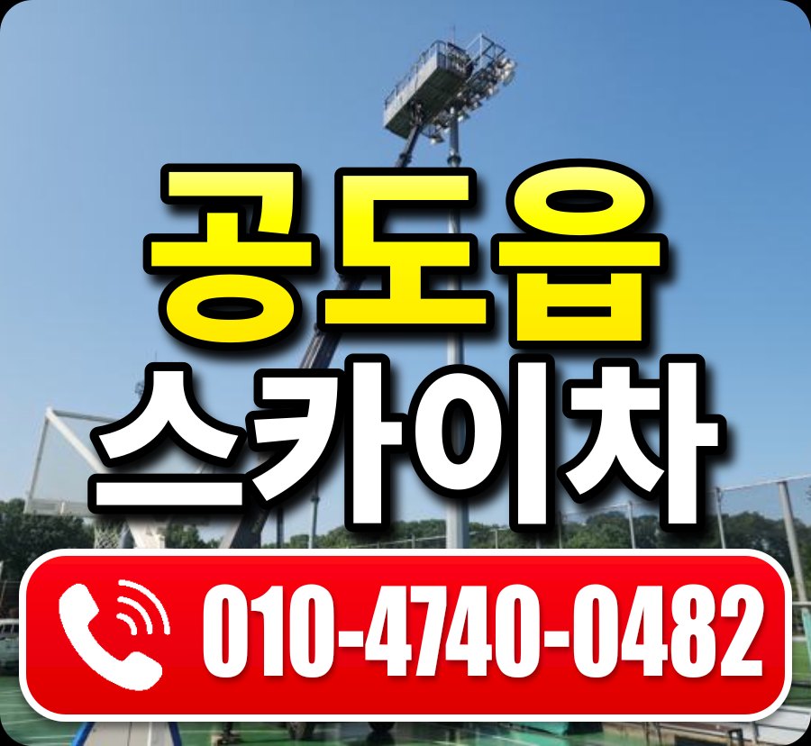 공도읍 스카이차 010-4740-0482