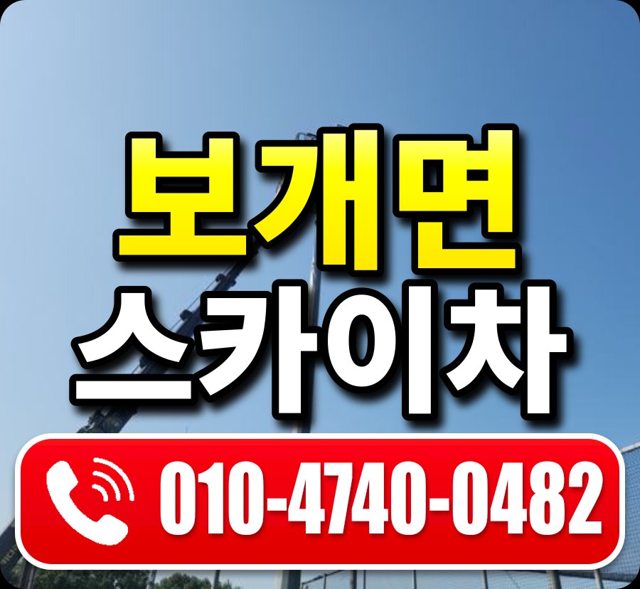 보개면 스카이차 010-4740-0482