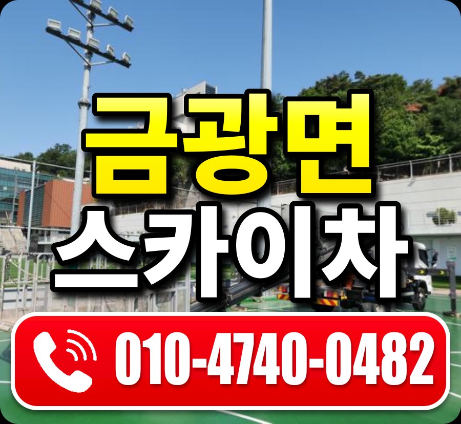 금광면 스카이차 010-4740-0482