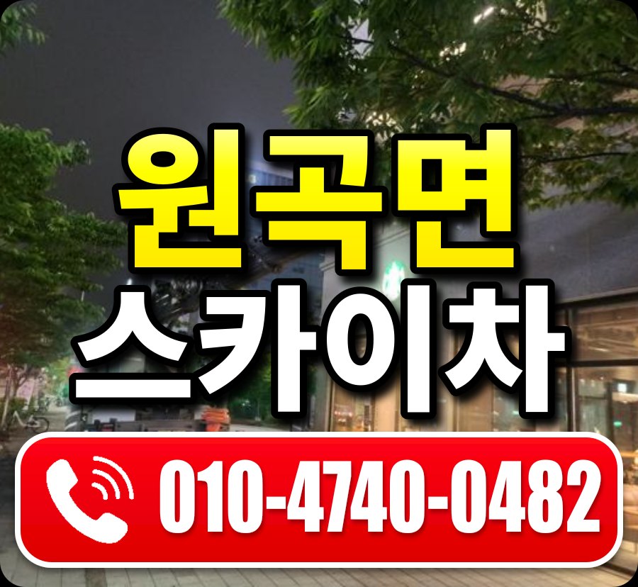 원곡면 스카이차 010-4740-0482