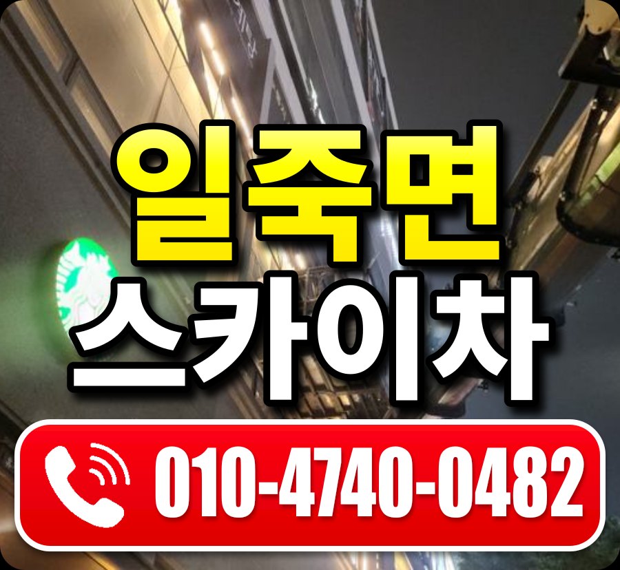 일죽면 스카이차 010-4740-0482
