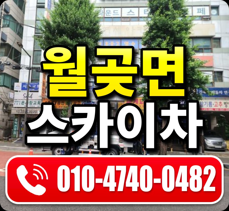 월곶면 스카이차 010-4740-0482