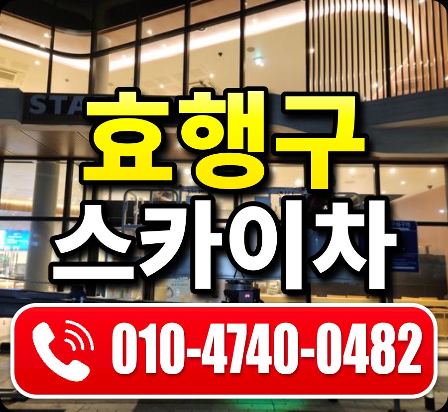 효행구 스카이차 010-4740-0482