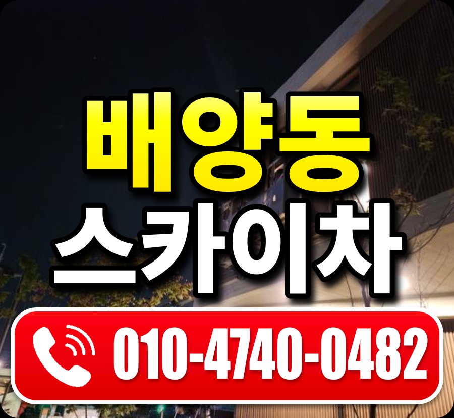 배양동 스카이차 010-4740-0482