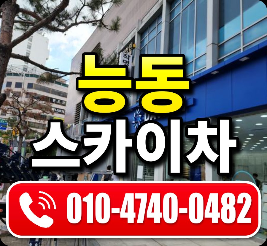 능동 스카이차 010-4740-0482