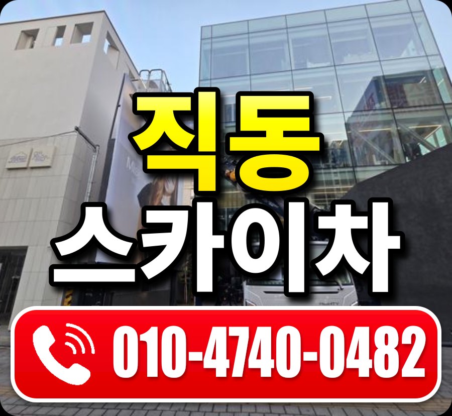 직동 스카이차 010-4740-0482
