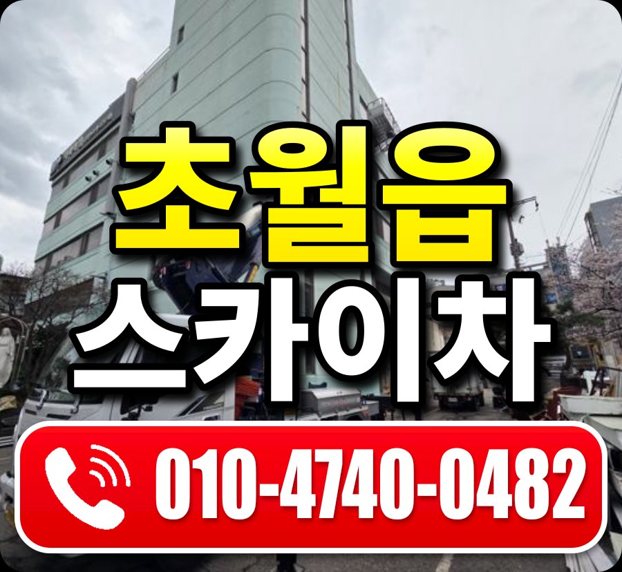 초월읍 스카이차 010-4740-0482