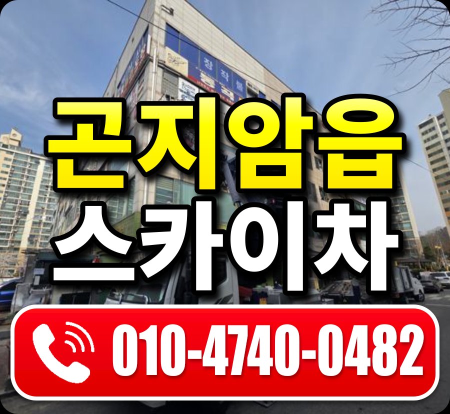 곤지암읍 스카이차 010-4740-0482