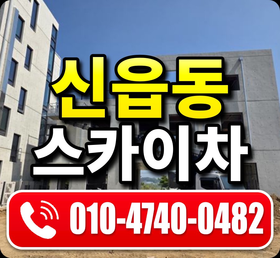 신읍동 스카이차 010-4740-0482