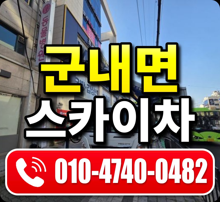 군내면 스카이차 010-4740-0482