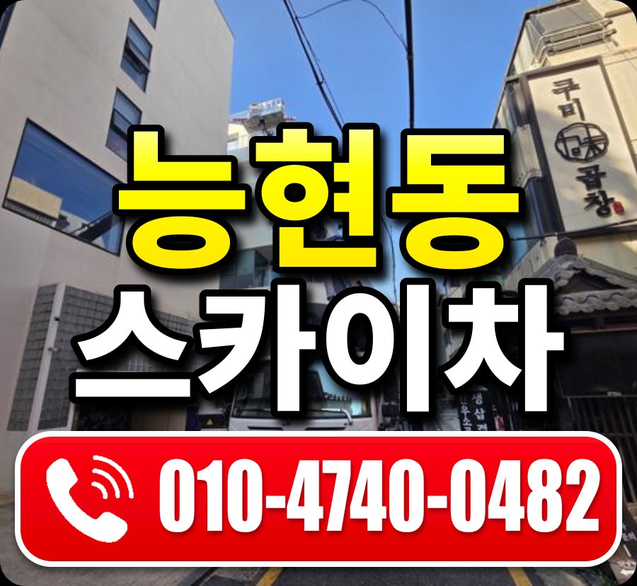 능현동 스카이차 010-4740-0482