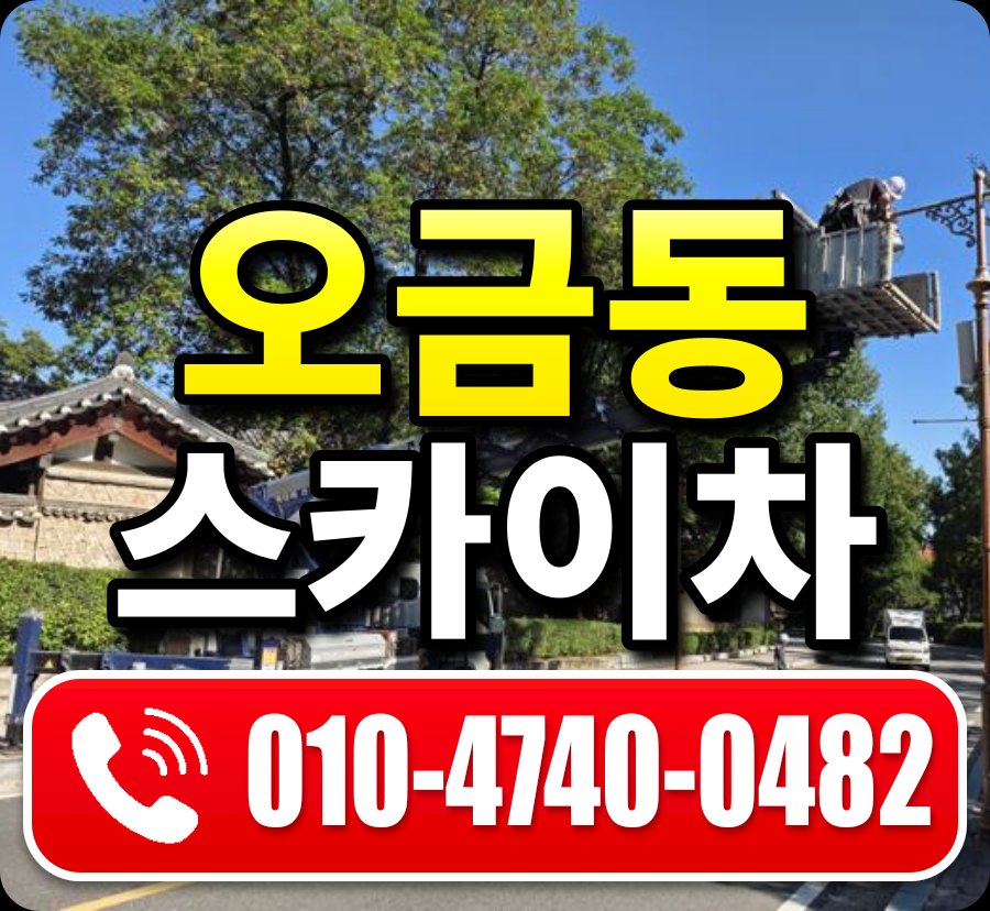 오금동 스카이차 010-4740-0482