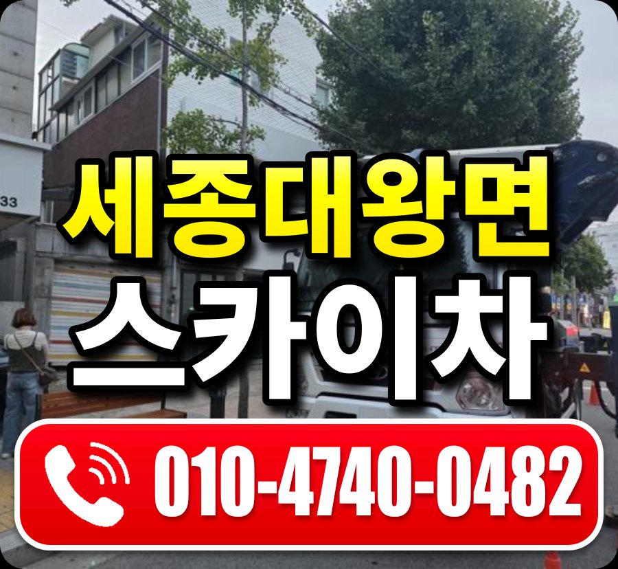 세종대왕면 스카이차 010-4740-0482