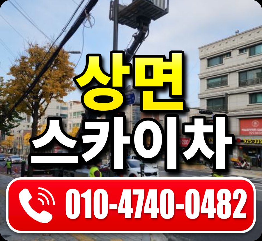 상면 스카이차 010-4740-0482
