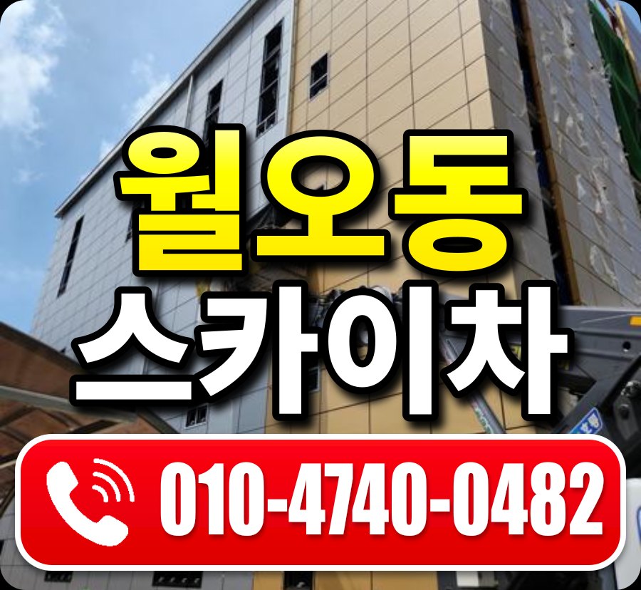 월오동 스카이차 010-4740-0482