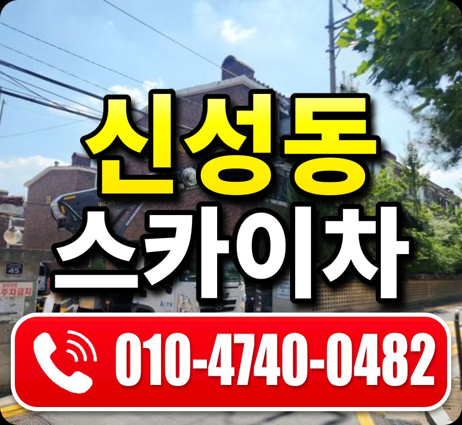 신성동 스카이차 010-4740-0482