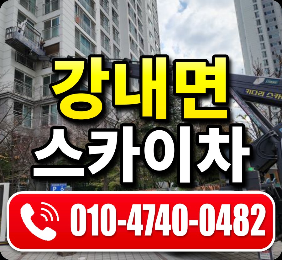 강내면 스카이차 010-4740-0482