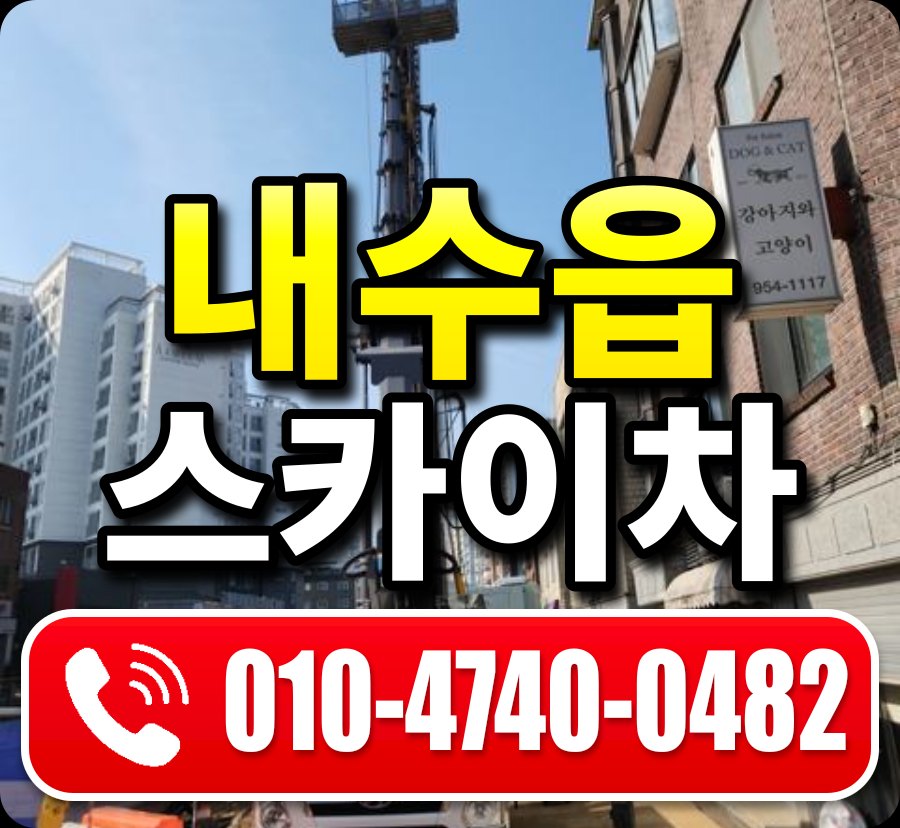내수읍 스카이차 010-4740-0482