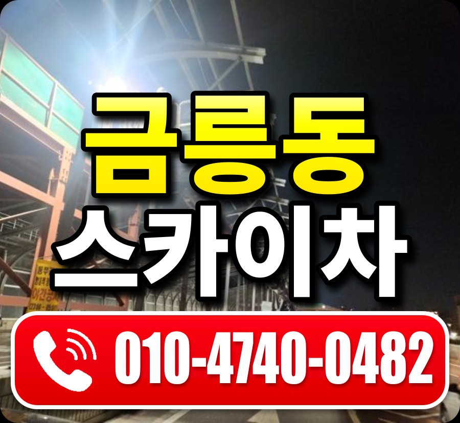 금릉동 스카이차 010-4740-0482