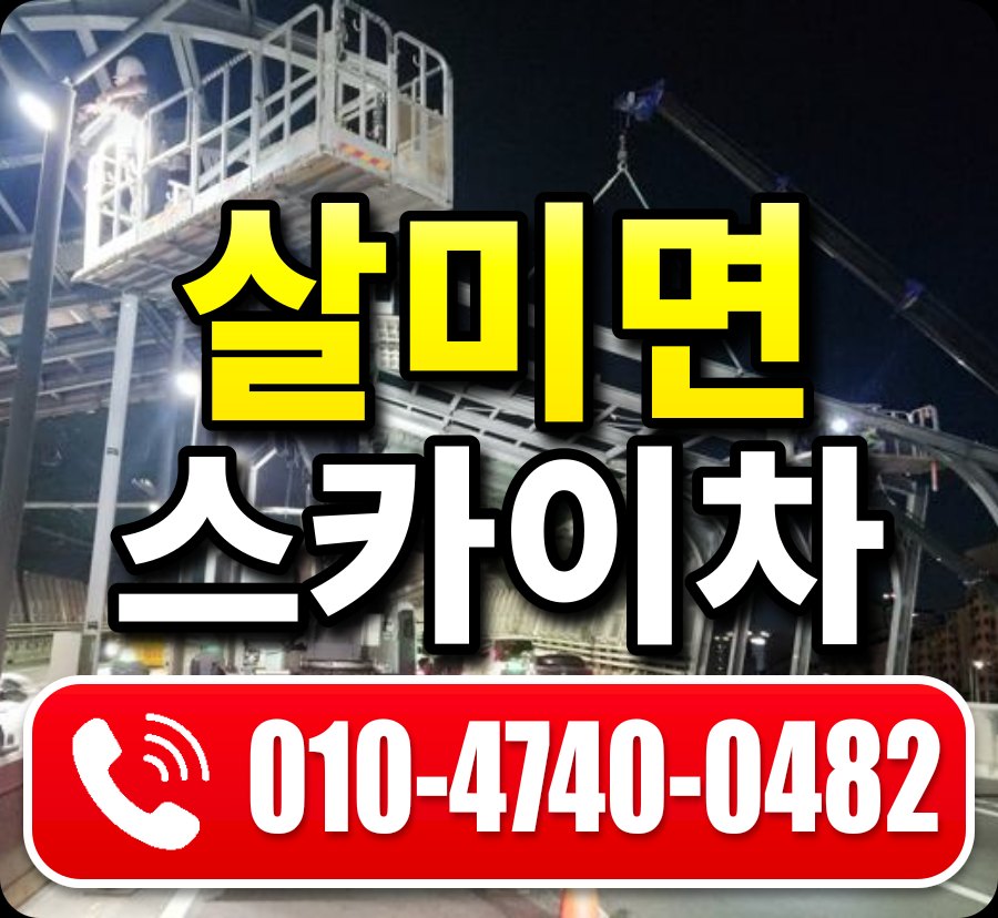 살미면 스카이차 010-4740-0482