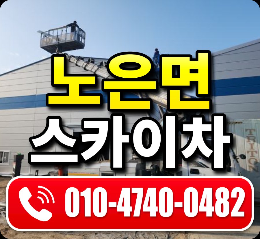 노은면 스카이차 010-4740-0482