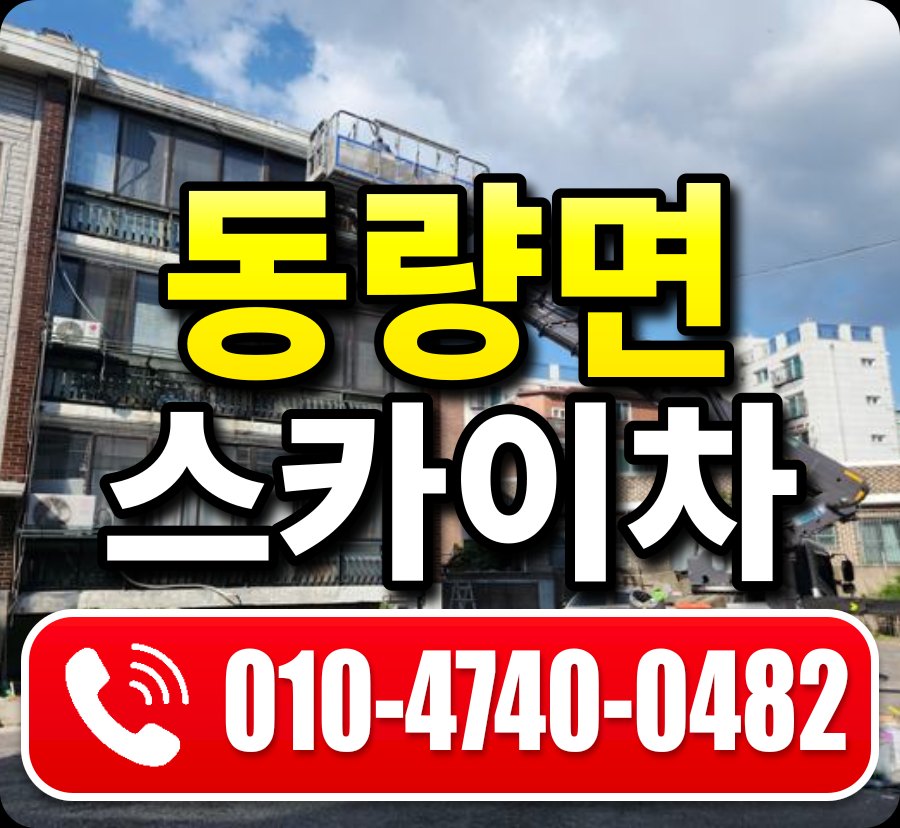 동량면 스카이차 010-4740-0482