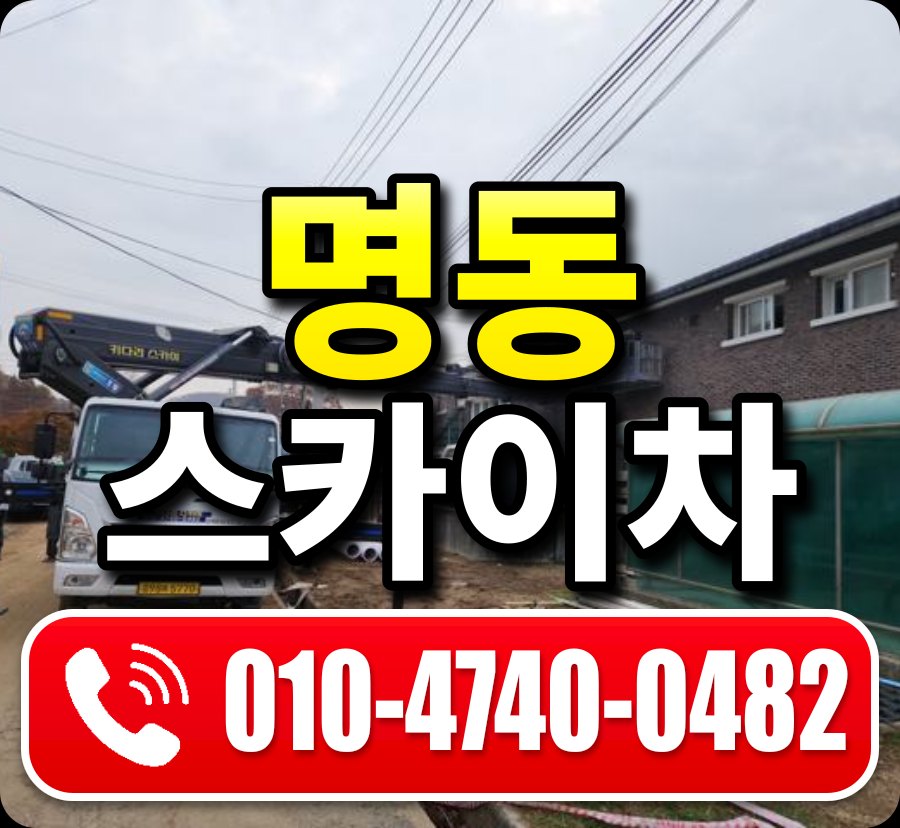 명동 스카이차 010-4740-0482
