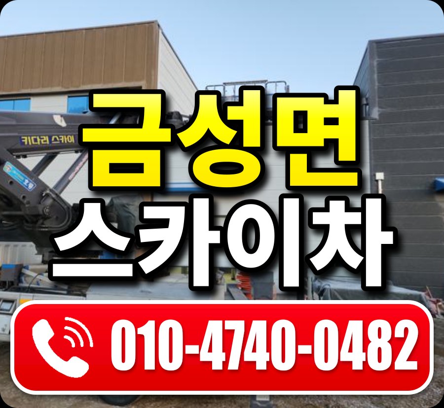 금성면 스카이차 010-4740-0482