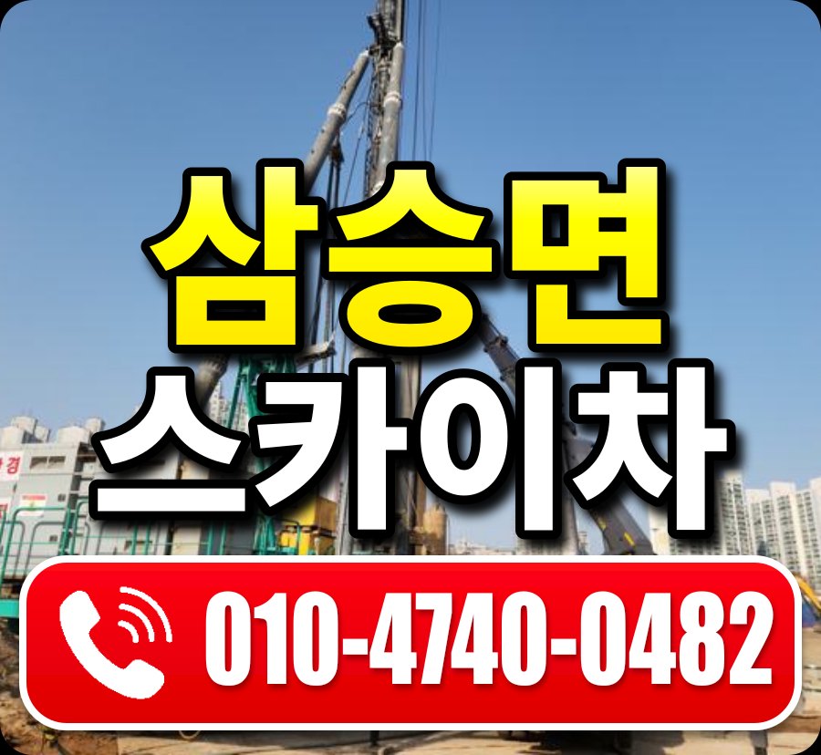 삼승면 스카이차 010-4740-0482