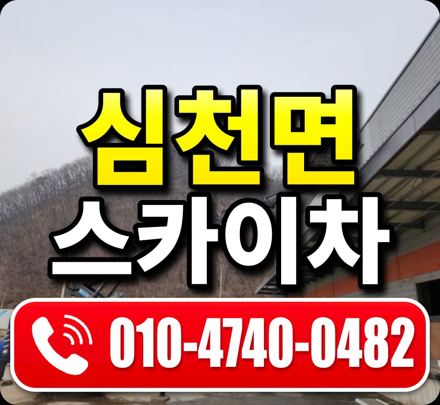 심천면 스카이차 010-4740-0482