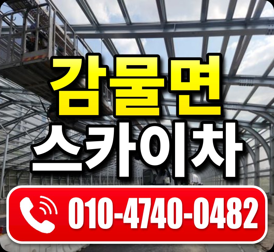 감물면 스카이차 010-4740-0482