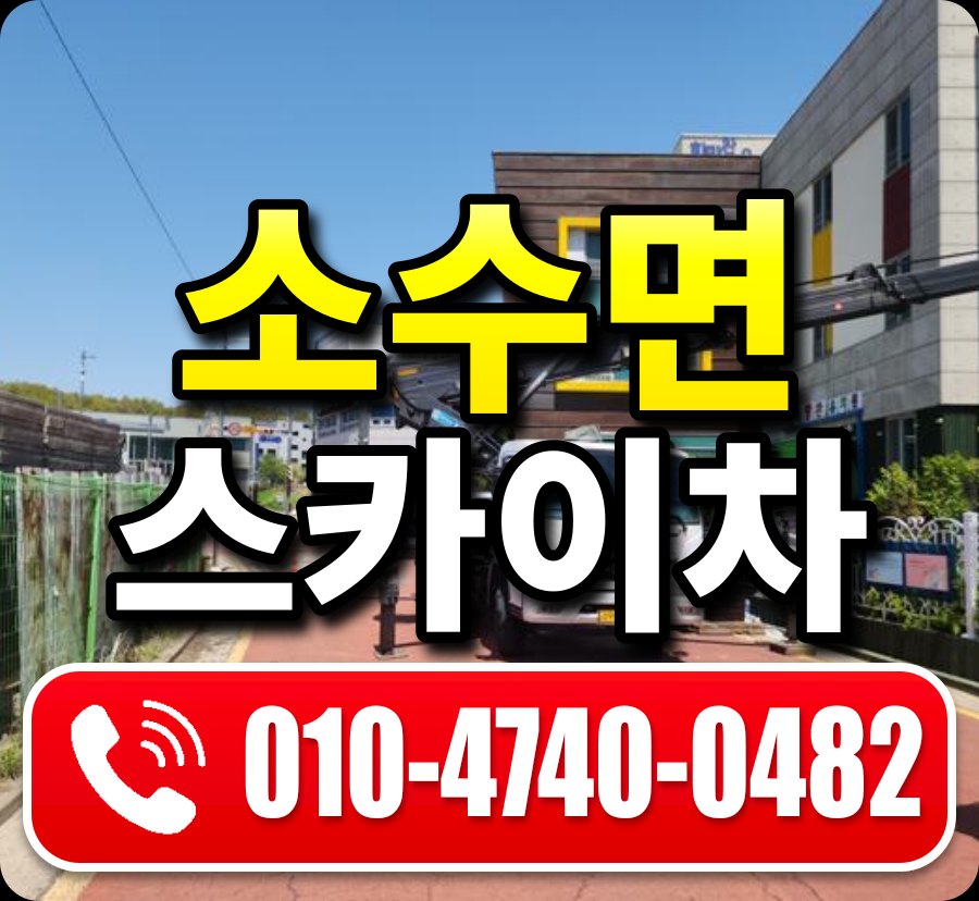 소수면 스카이차 010-4740-0482