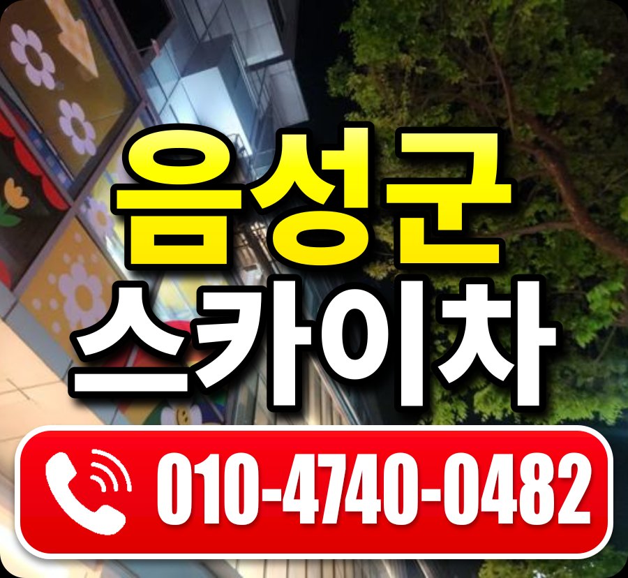 음성군 스카이차 010-4740-0482