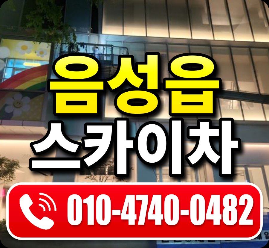 음성읍 스카이차 010-4740-0482