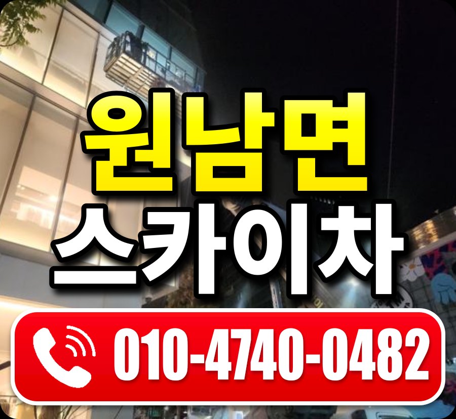 원남면 스카이차 010-4740-0482