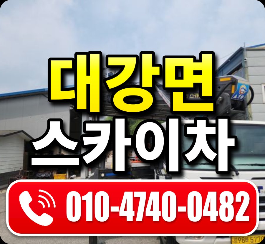 대강면 스카이차 010-4740-0482