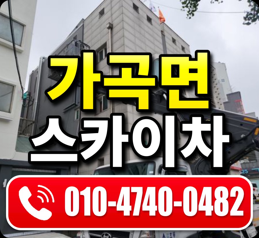 가곡면 스카이차 010-4740-0482