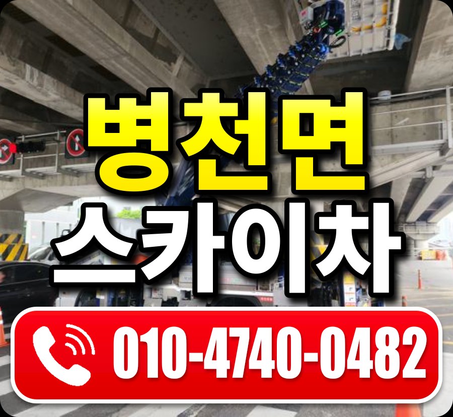 병천면 스카이차 010-4740-0482
