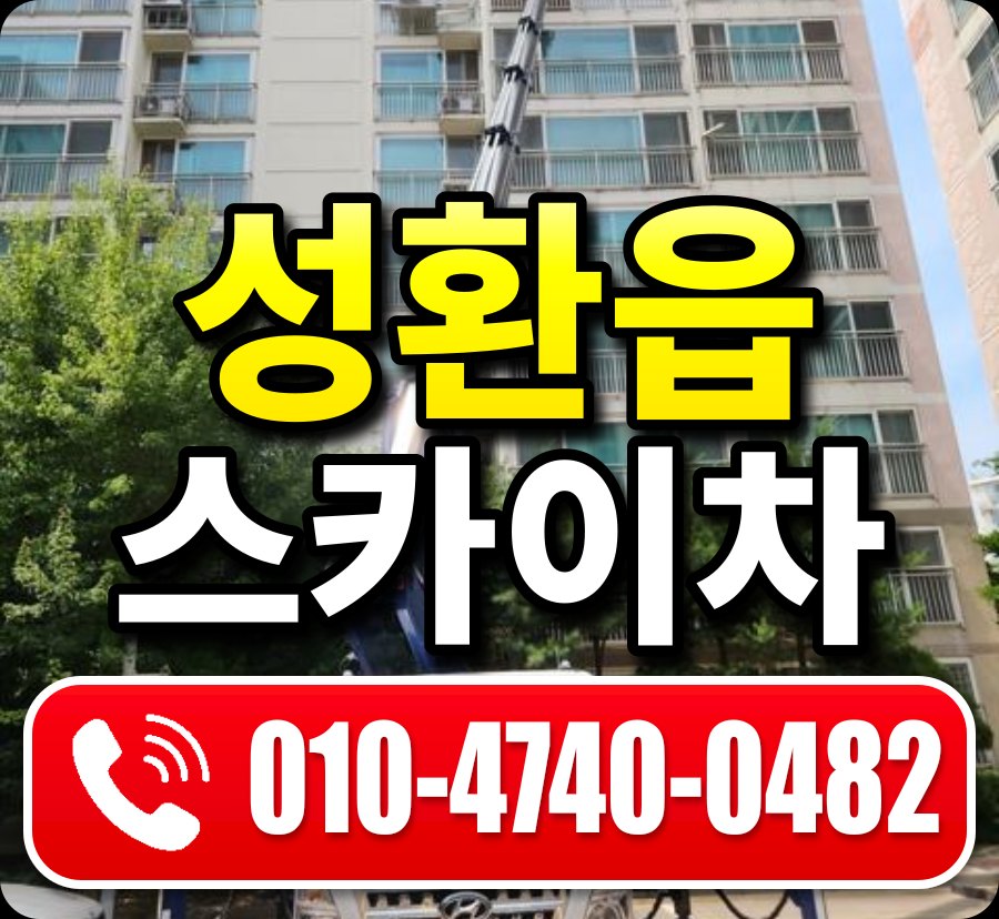성환읍 스카이차 010-4740-0482
