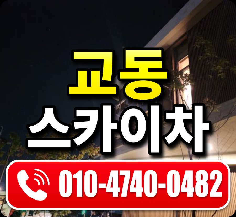 교동 스카이차 010-4740-0482