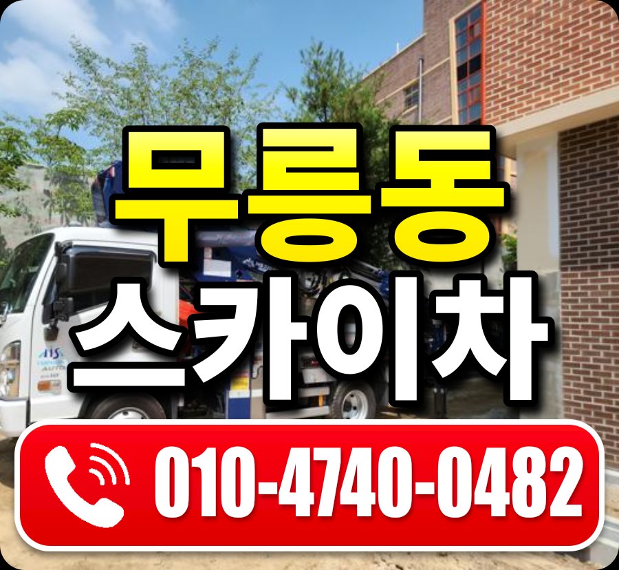 무릉동 스카이차 010-4740-0482