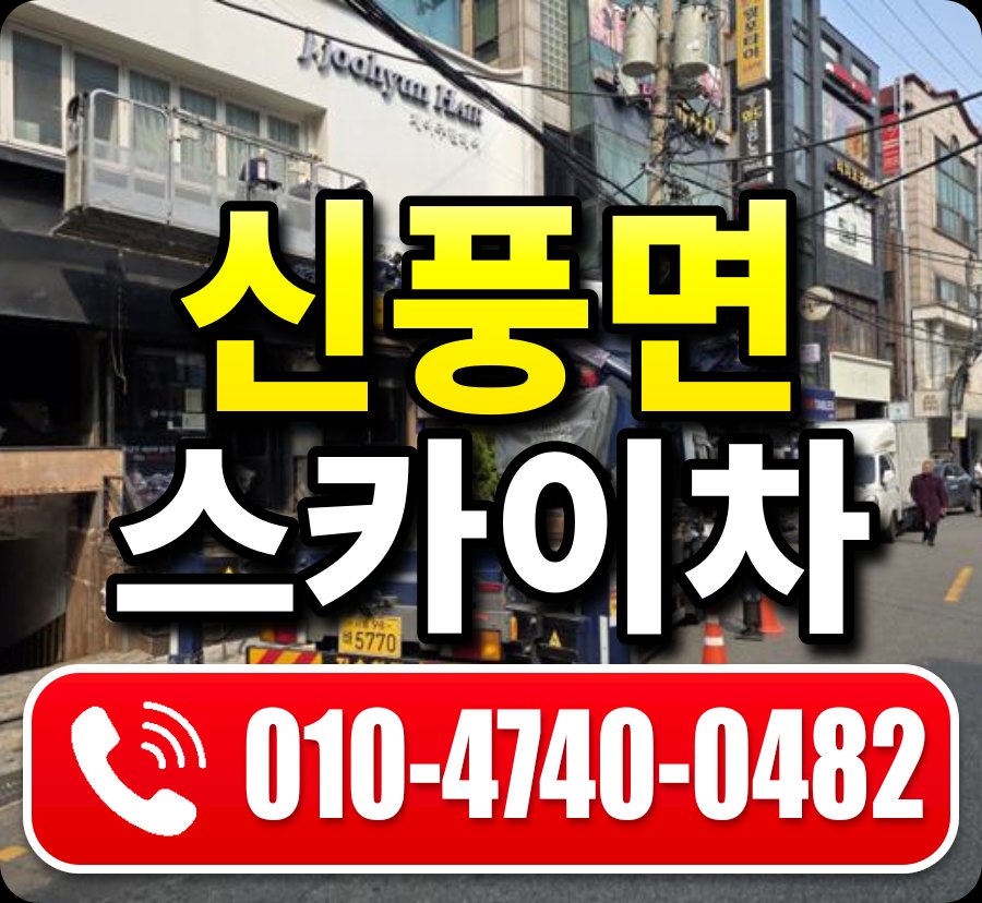 신풍면 스카이차 010-4740-0482