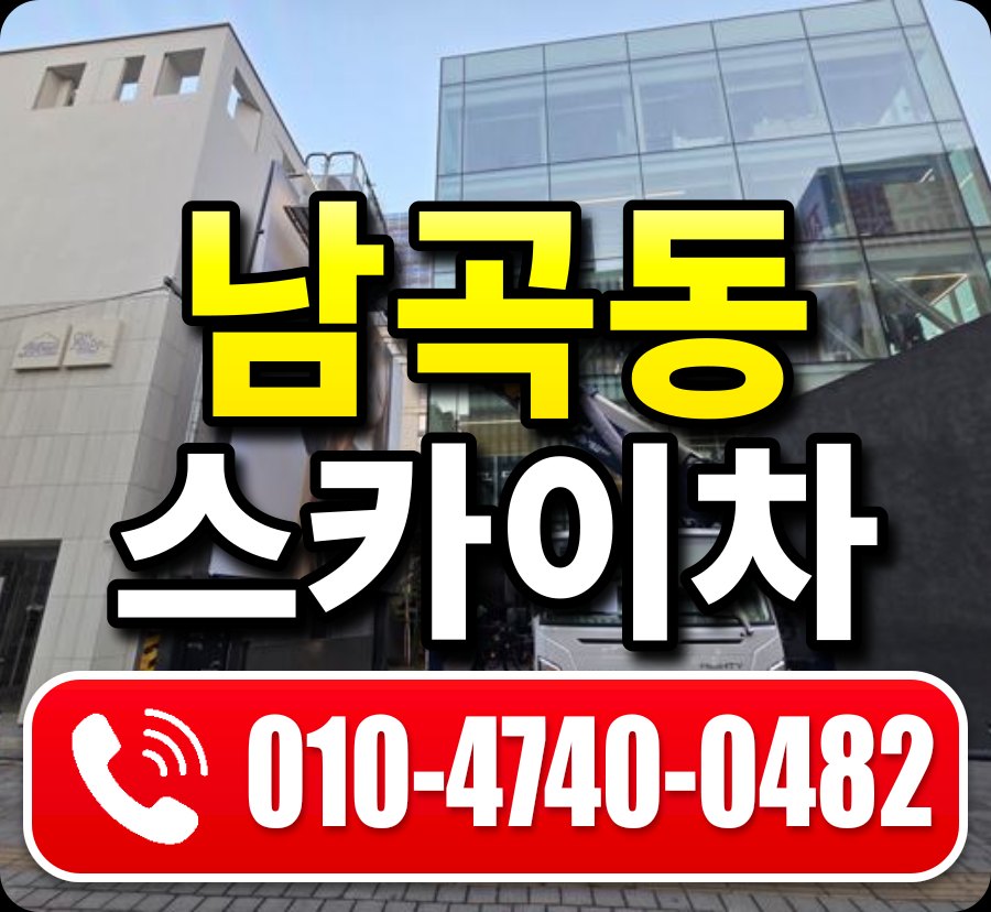 남곡동 스카이차 010-4740-0482