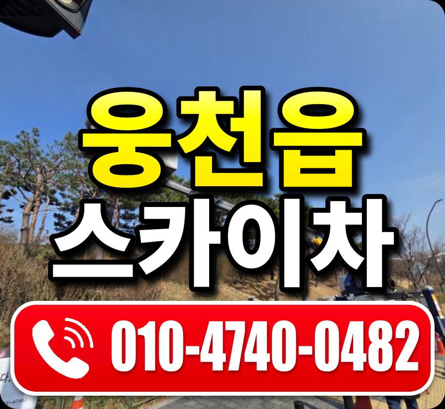 웅천읍 스카이차 010-4740-0482