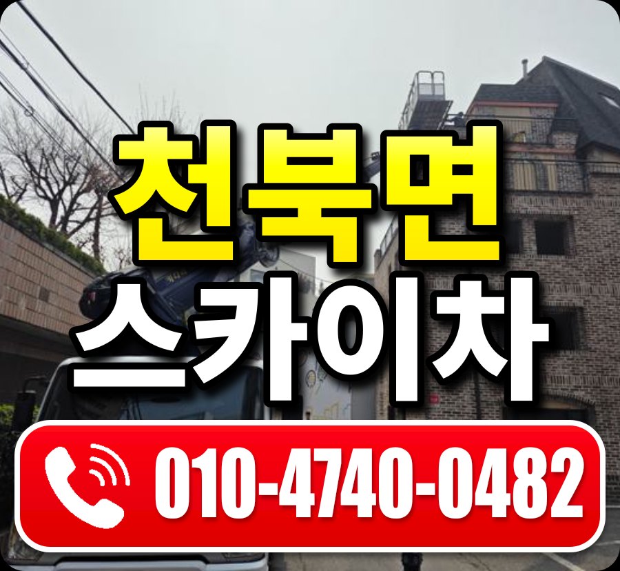 천북면 스카이차 010-4740-0482