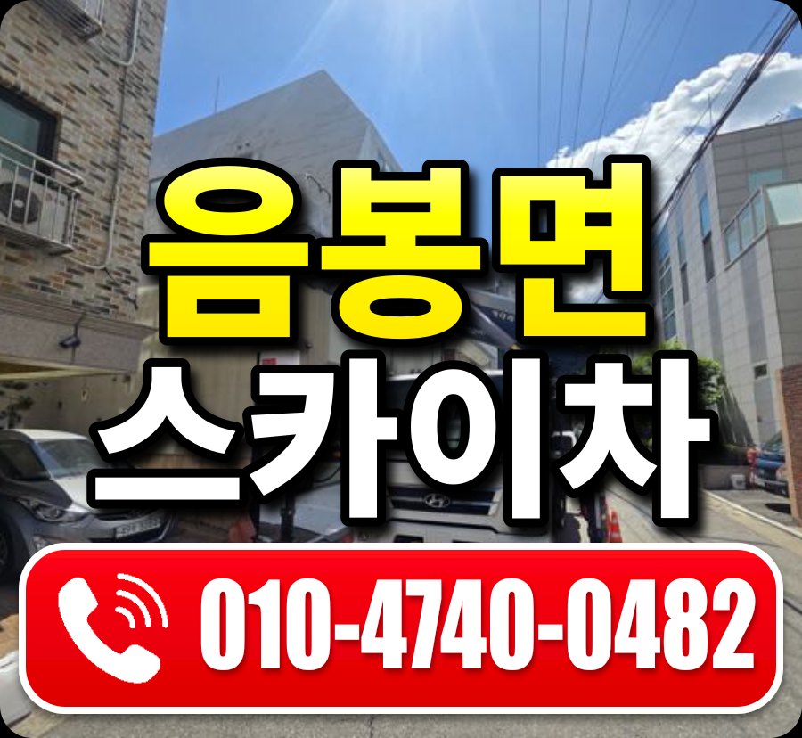음봉면 스카이차 010-4740-0482