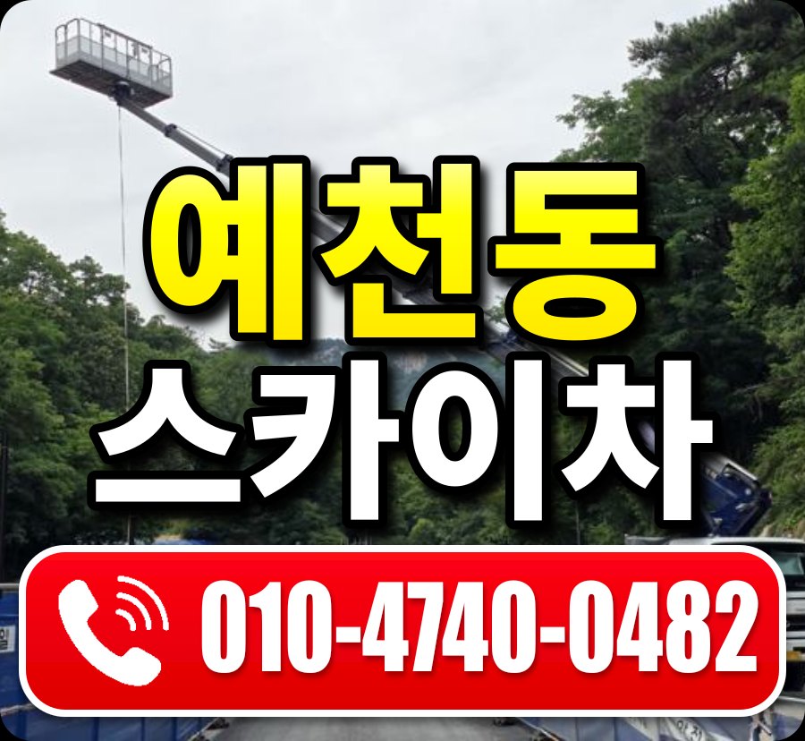 예천동 스카이차 010-4740-0482