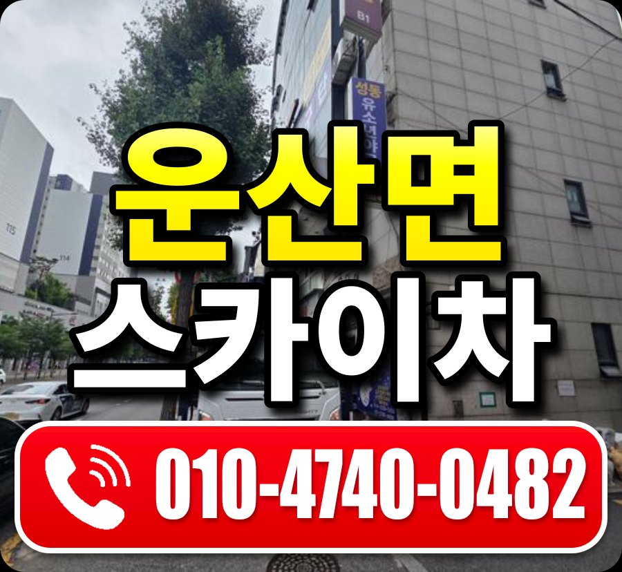운산면 스카이차 010-4740-0482