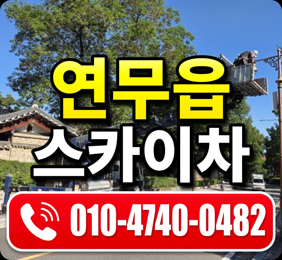 연무읍 스카이차 010-4740-0482